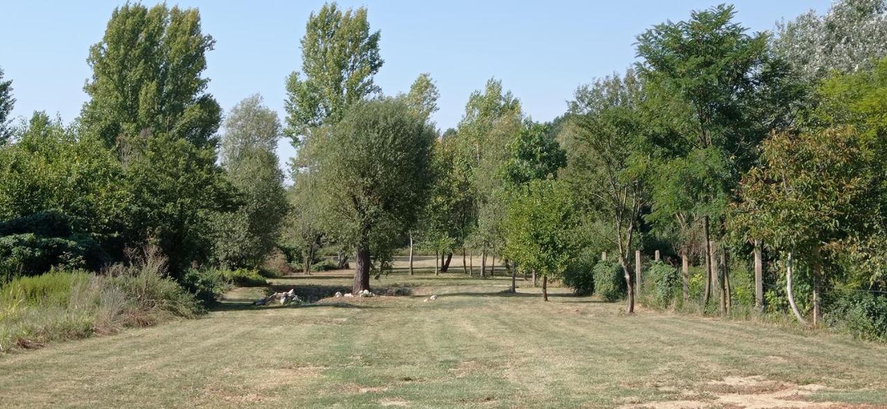 Vegvari Vendeghaz Magyarbóly Exteriör bild