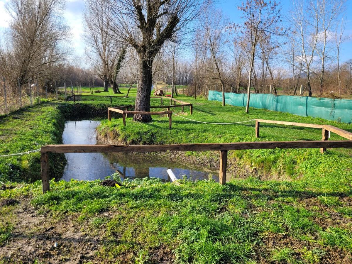 Vegvari Vendeghaz Magyarbóly Exteriör bild